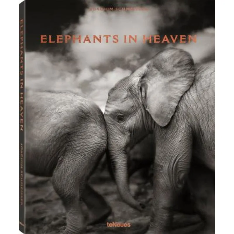 ELEPHANTS IN HEAVEN