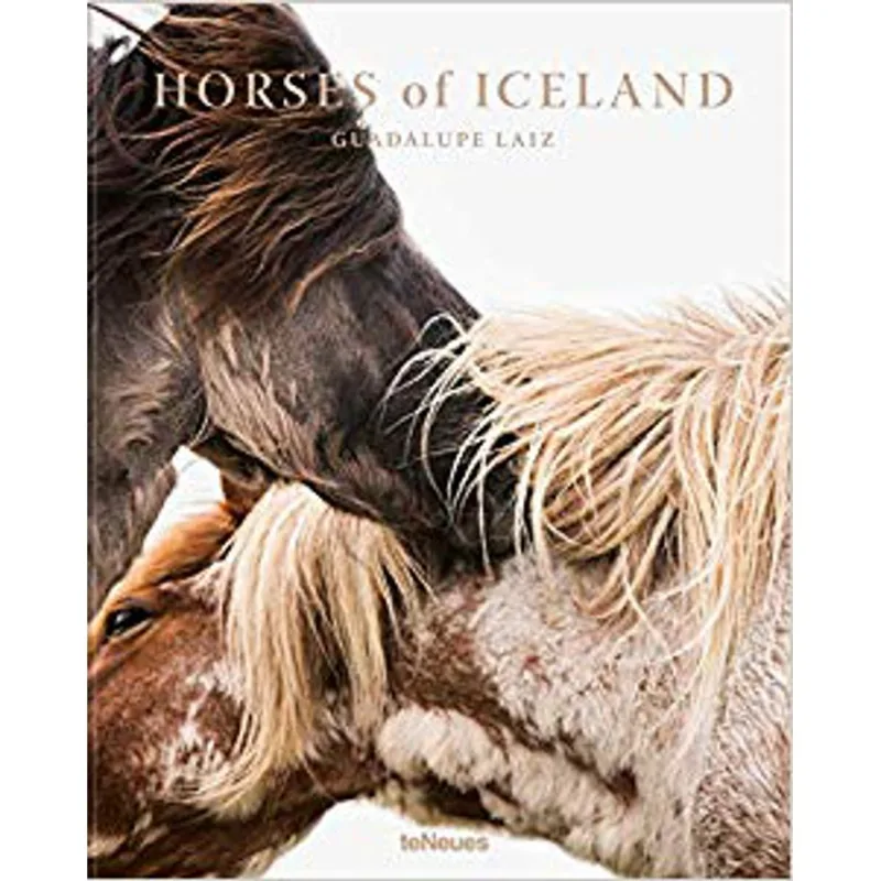 HORSES OF ICELAND