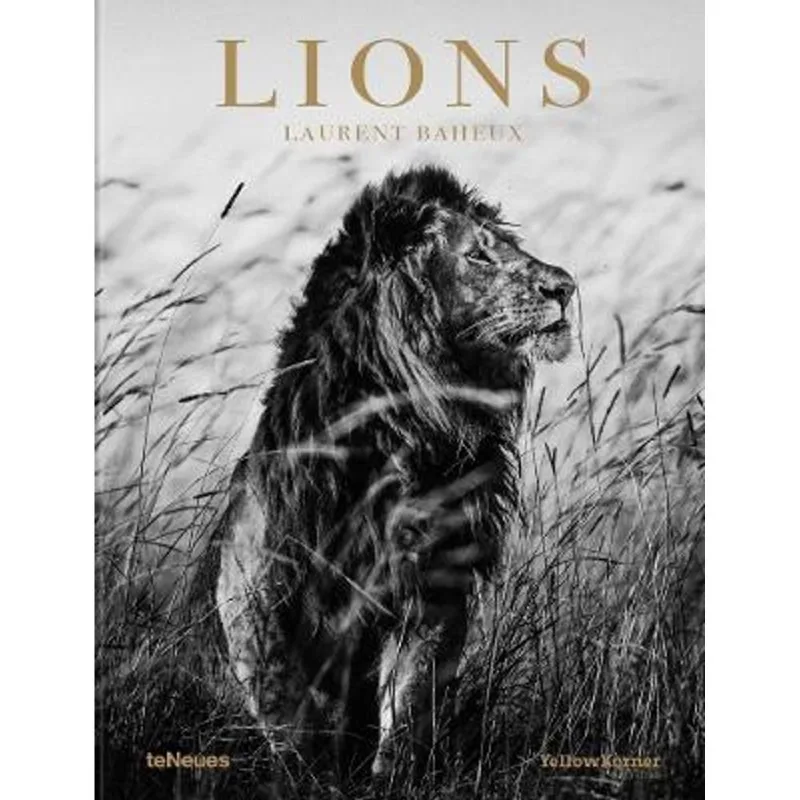 LIONS