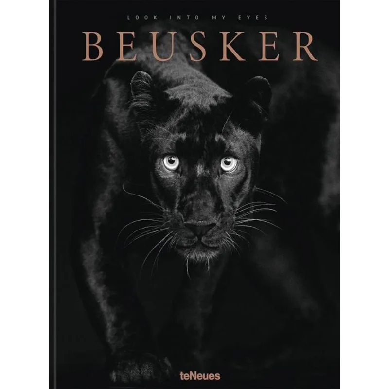 BEUSKER - LOOK INTO MY EYES