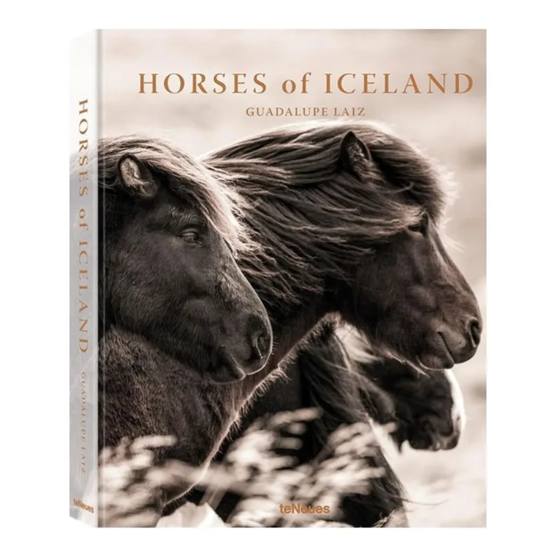 HORSES OF ICELAND