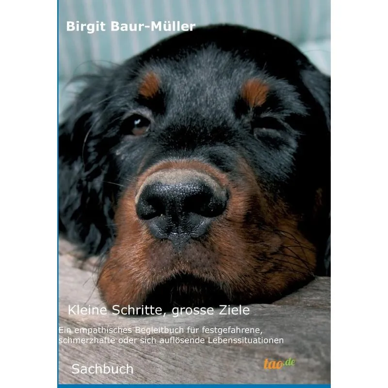 Kleine Schritte, grosse Ziele
