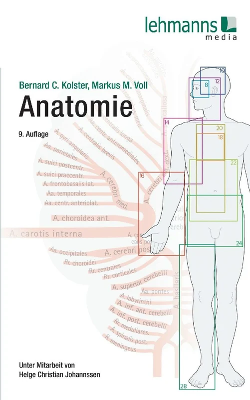 Anatomie