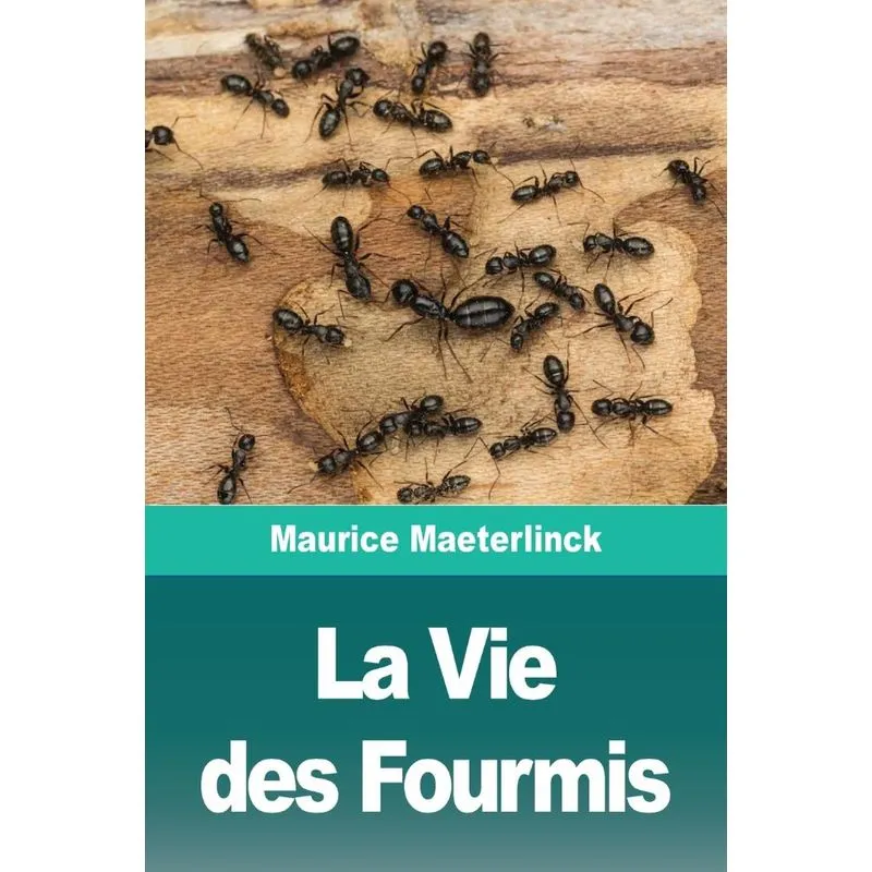 La Vie des Fourmis