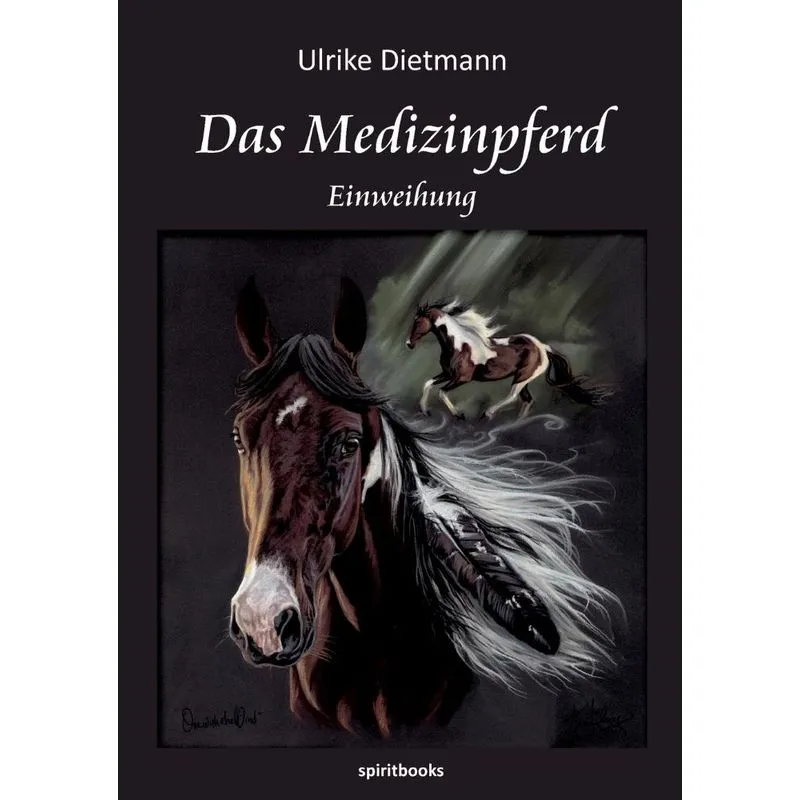 Das Medizinpferd