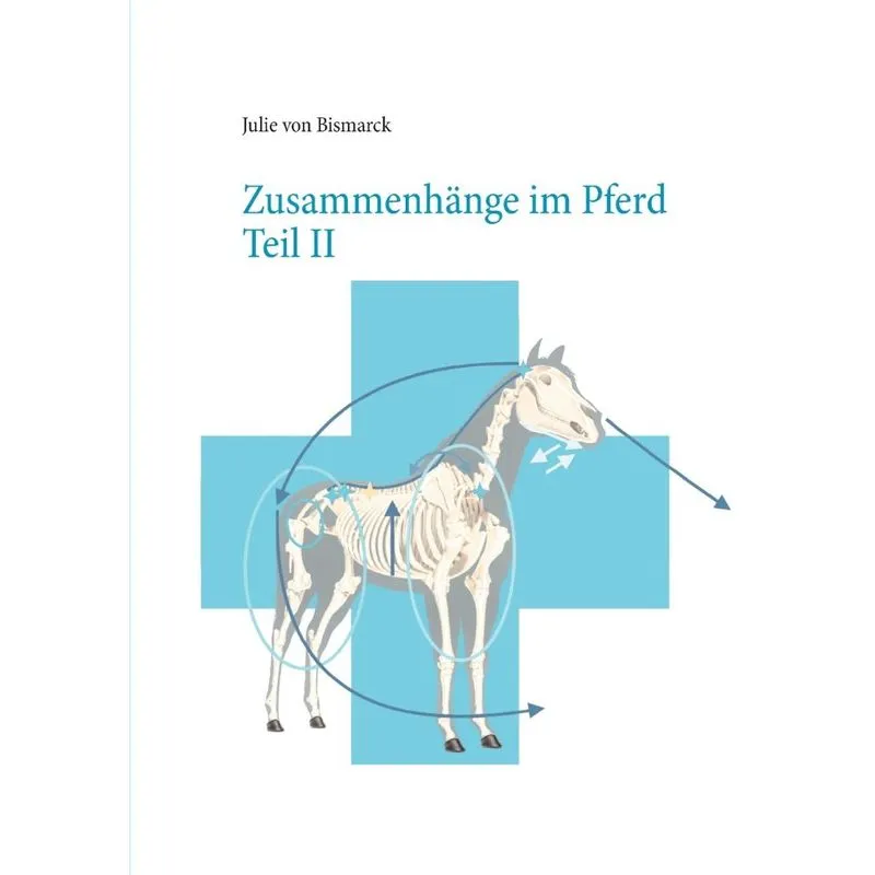 Zusammenhänge im Pferd Teil II