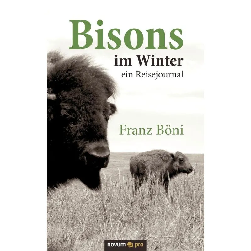 Bisons im Winter