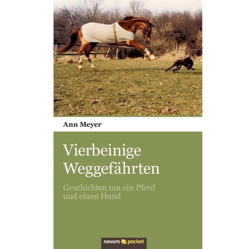 Vierbeinige Weggefährten