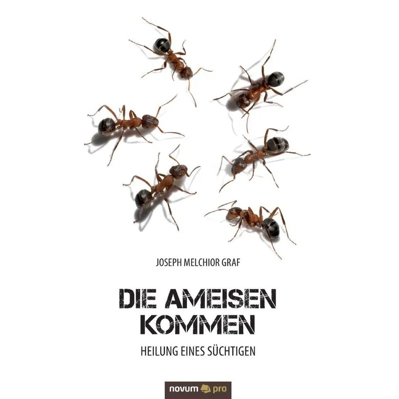Die Ameisen kommen