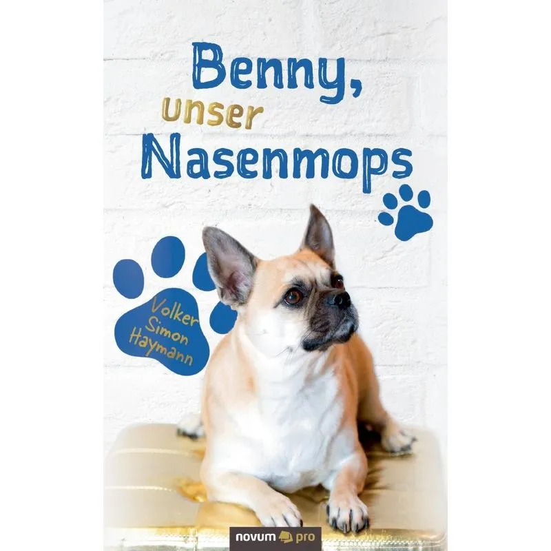 Benny, unser Nasenmops