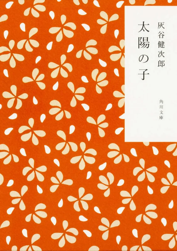 太陽の子 （角川文庫）