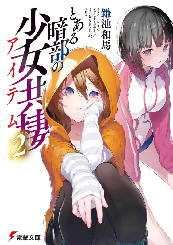 A Certain Item of Dark Side (Toaru Anbu no Item) 2 (Light Novel)
