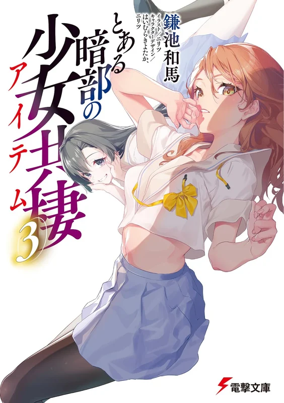 A Certain Item of Dark Side (Toaru Anbu no Item) 3 (Light Novel)