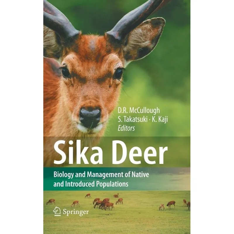 Sika Deer