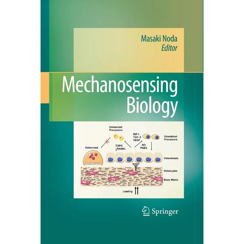Mechanosensing Biology