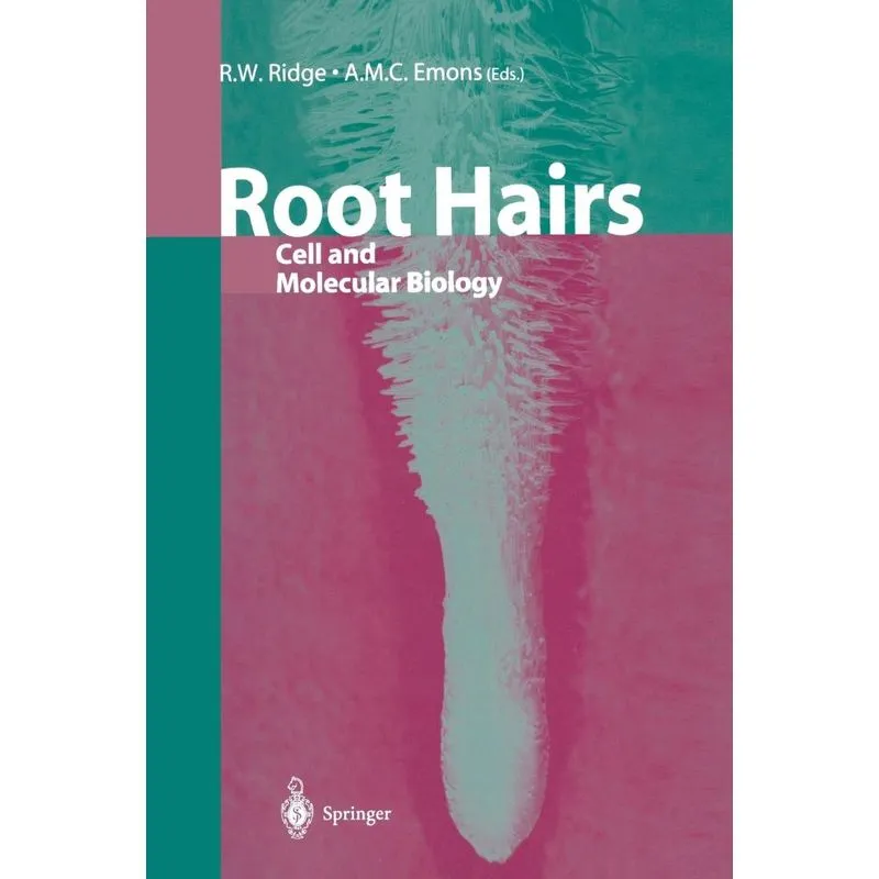 Root Hairs