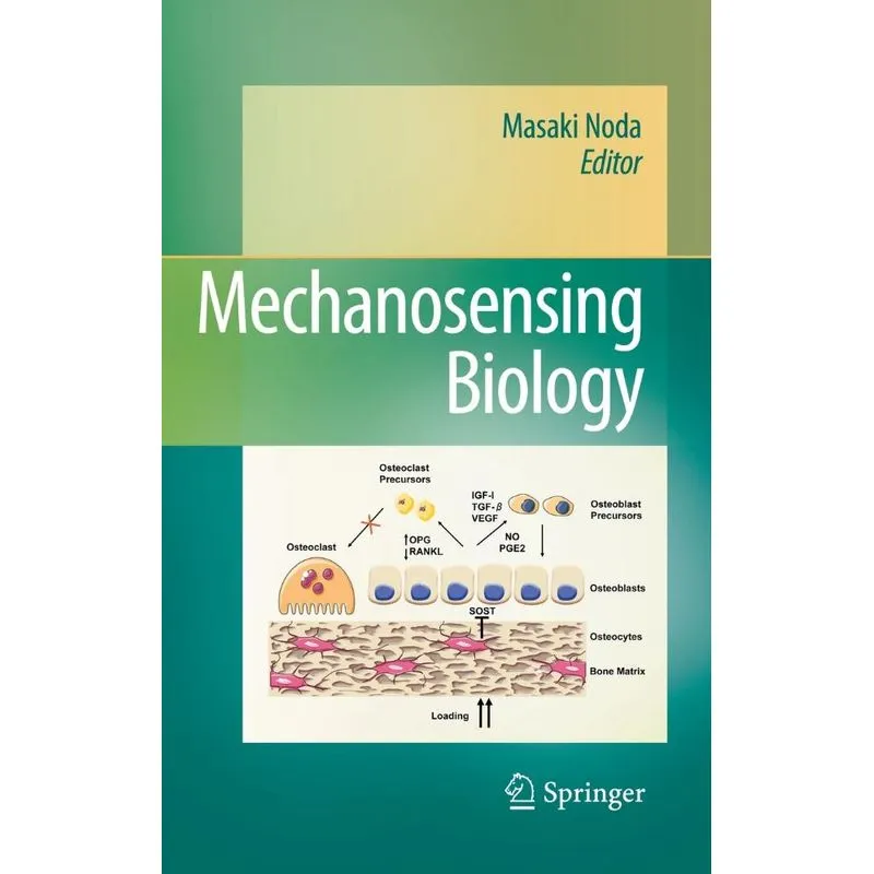 Mechanosensing Biology