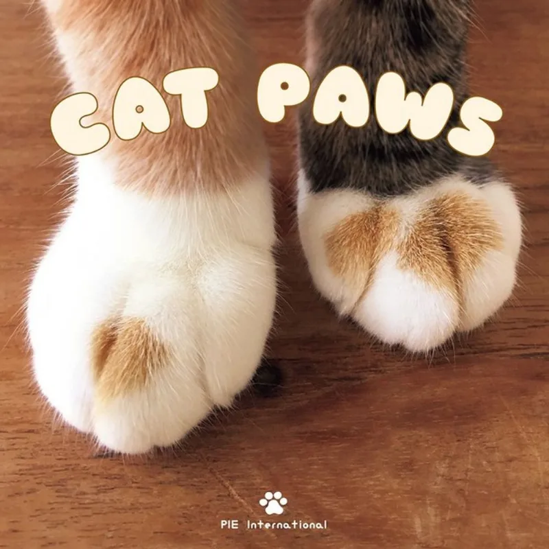 CAT PAWS
