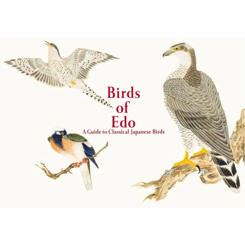 BIRDS OF EDO