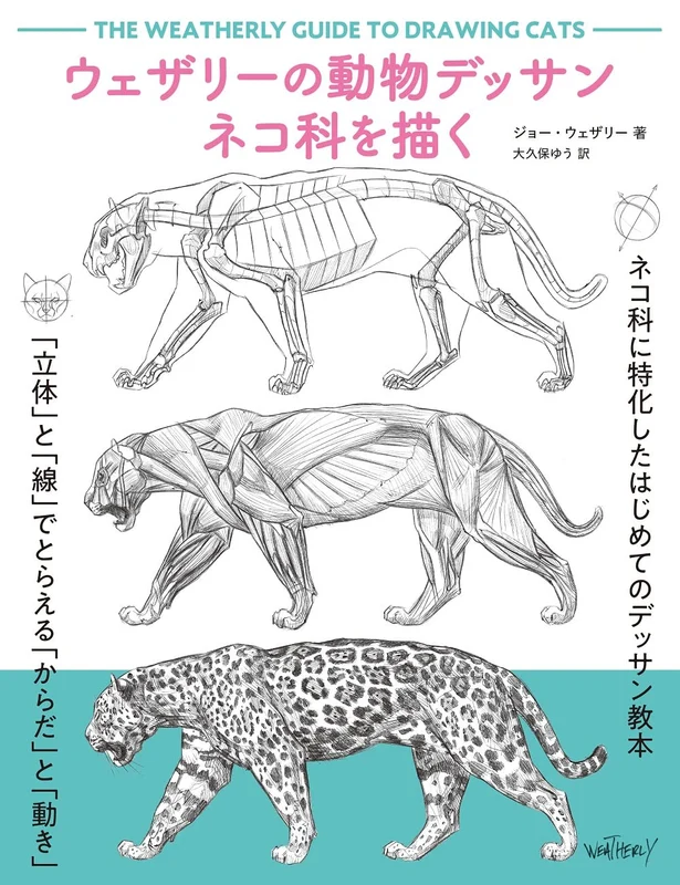 Graphicsha Weatherly's Animal Drawing of the Feline Family. (Book) Joe Weatherly