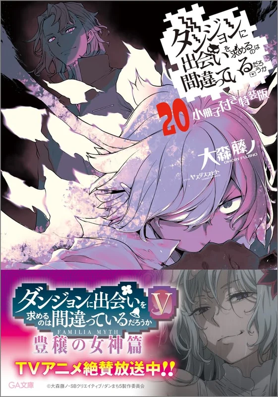 Is It Wrong to Try to Pick Up Girls in a Dungeon Vol.20 Limited Novel+Booklet