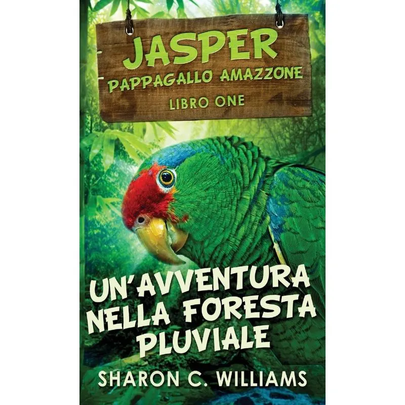 Unavventura Nella Foresta Pluviale