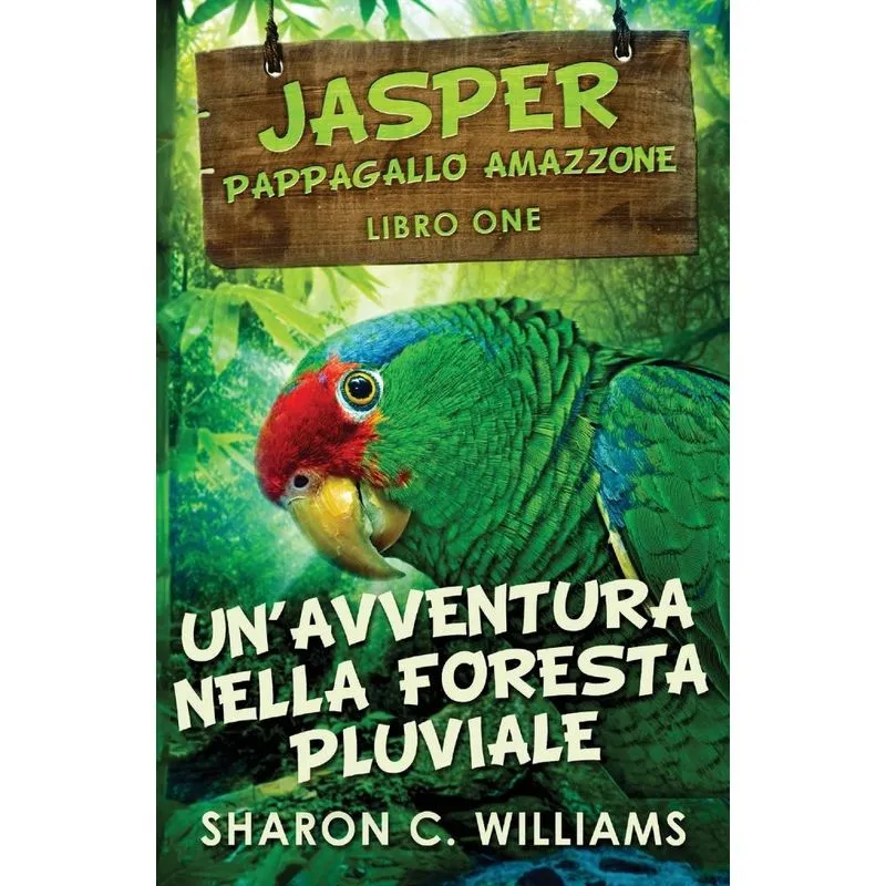 Unavventura Nella Foresta Pluviale