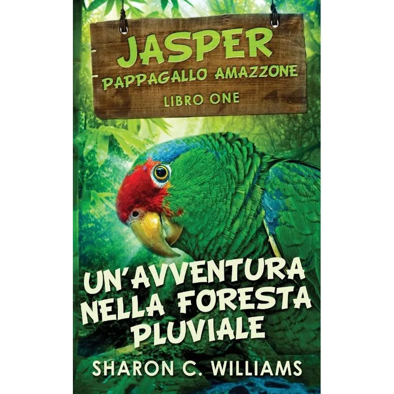 Unavventura Nella Foresta Pluviale