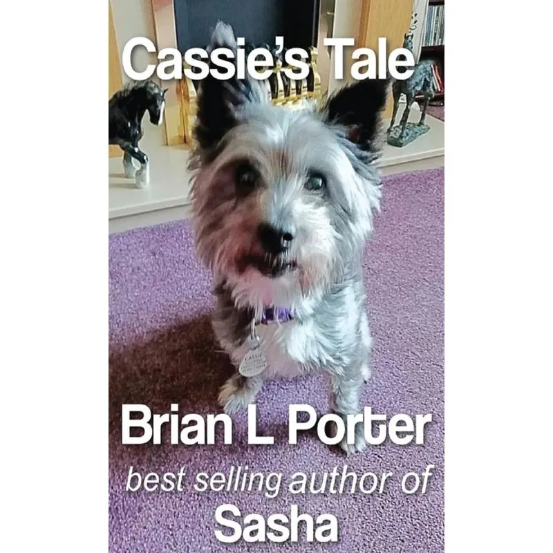 Cassies Tale