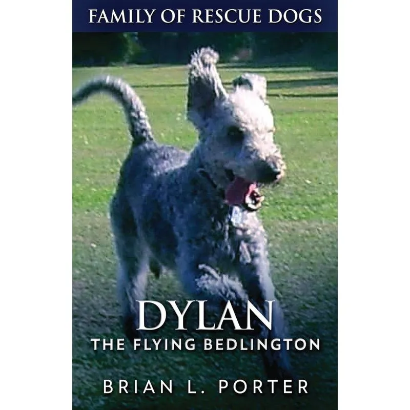 Dylan - The Flying Bedlington
