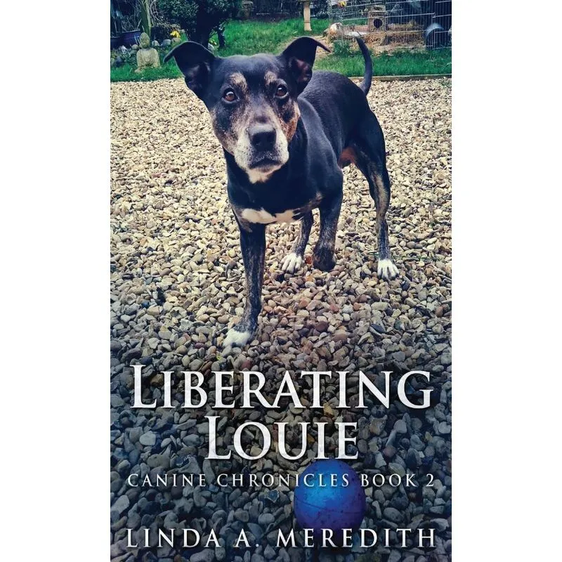 Liberating Louie