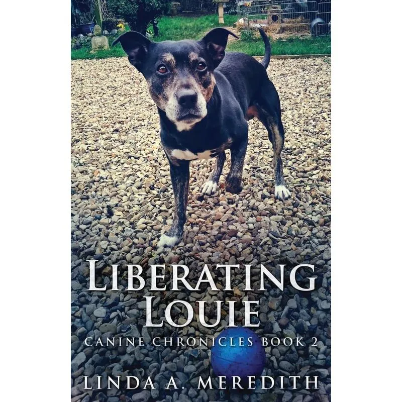 Liberating Louie