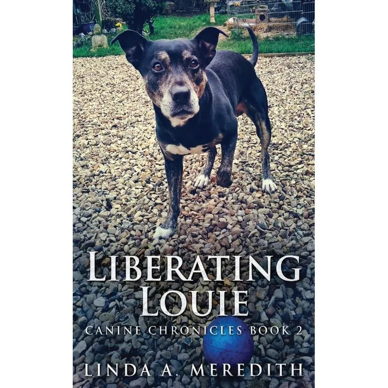 Liberating Louie