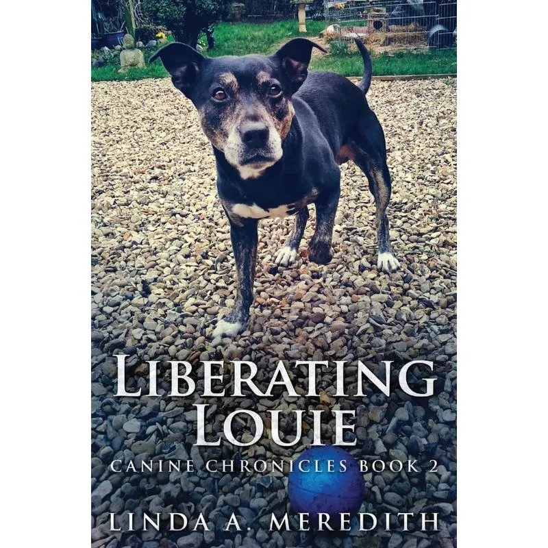 Liberating Louie