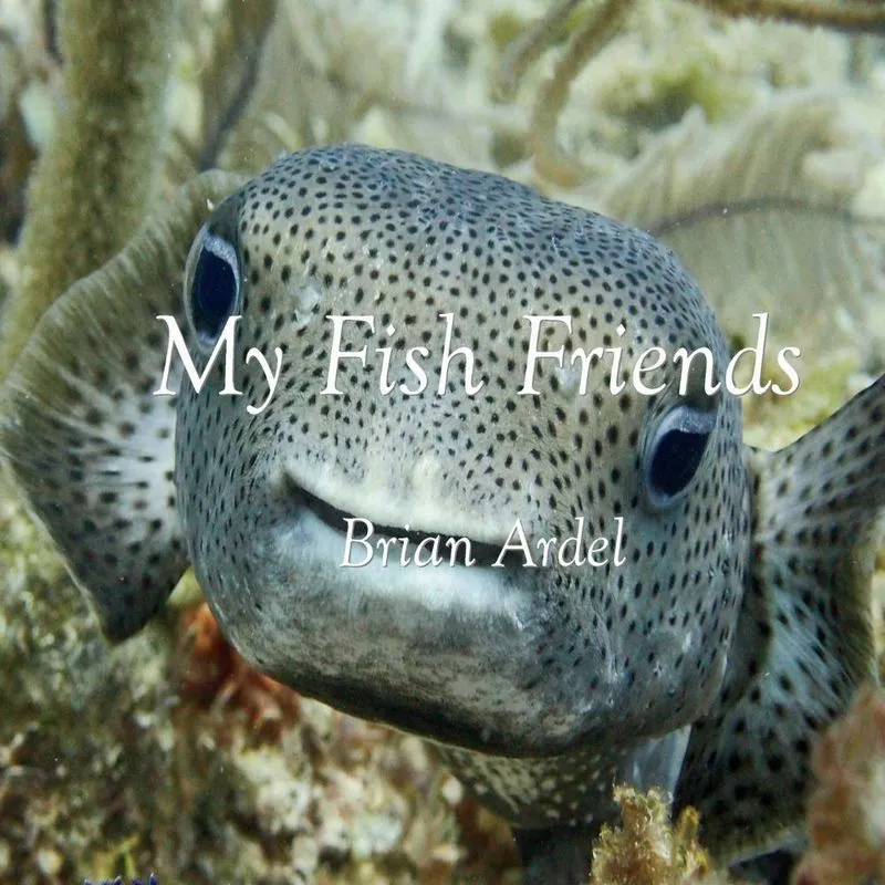 My Fish Friends