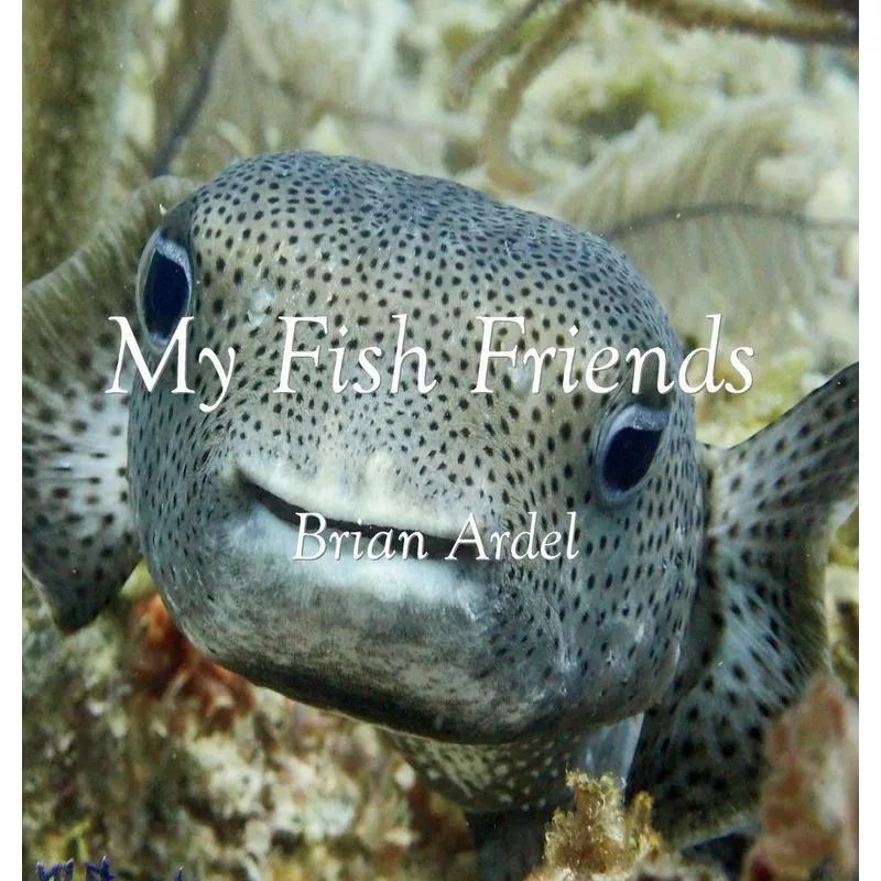 My Fish Friends