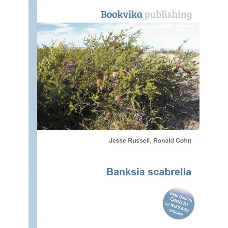 Banksia Scabrella