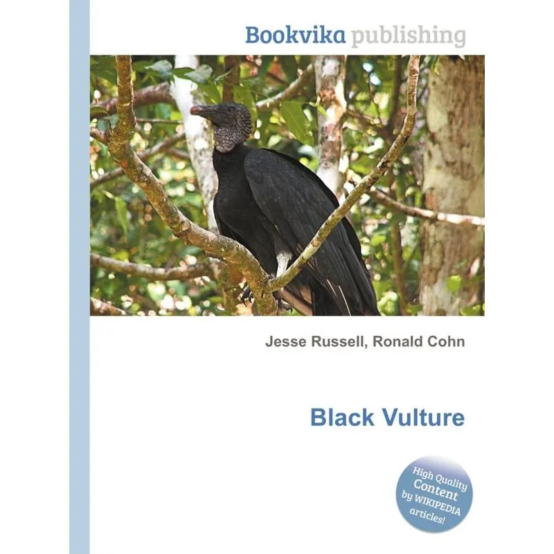 Black Vulture