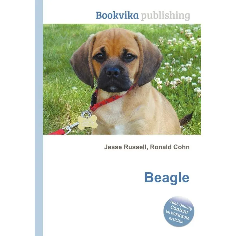 Beagle