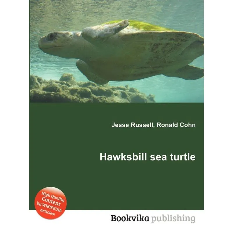Hawksbill Sea Turtle