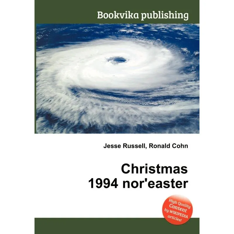 Christmas 1994 Noreaster