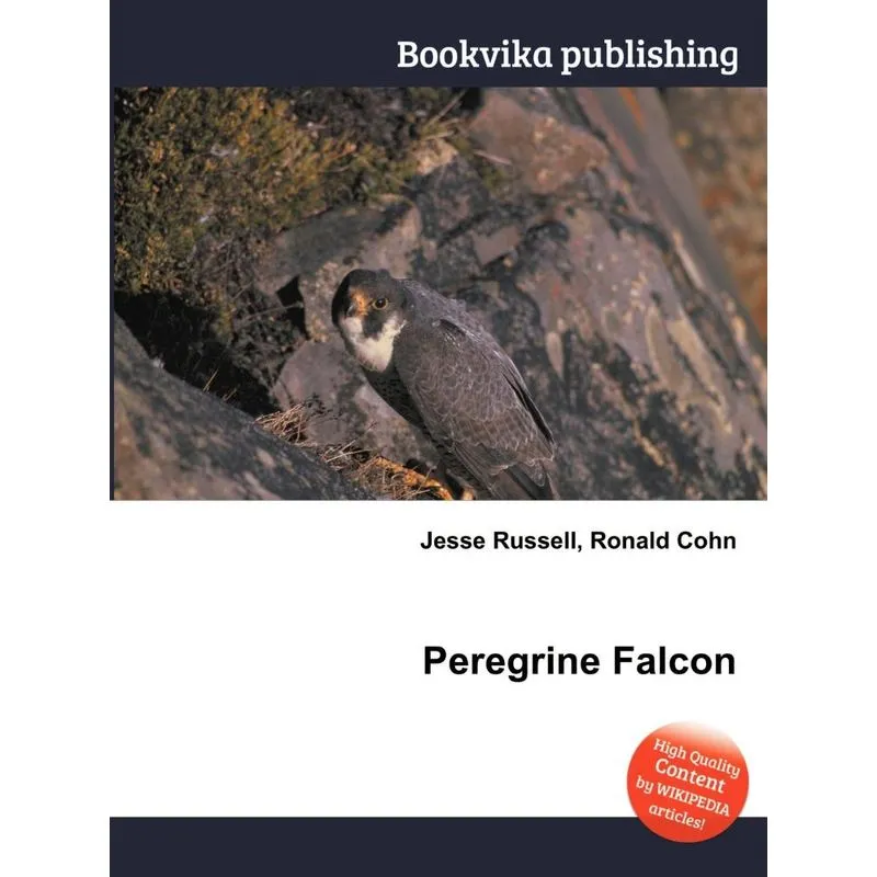 Peregrine Falcon