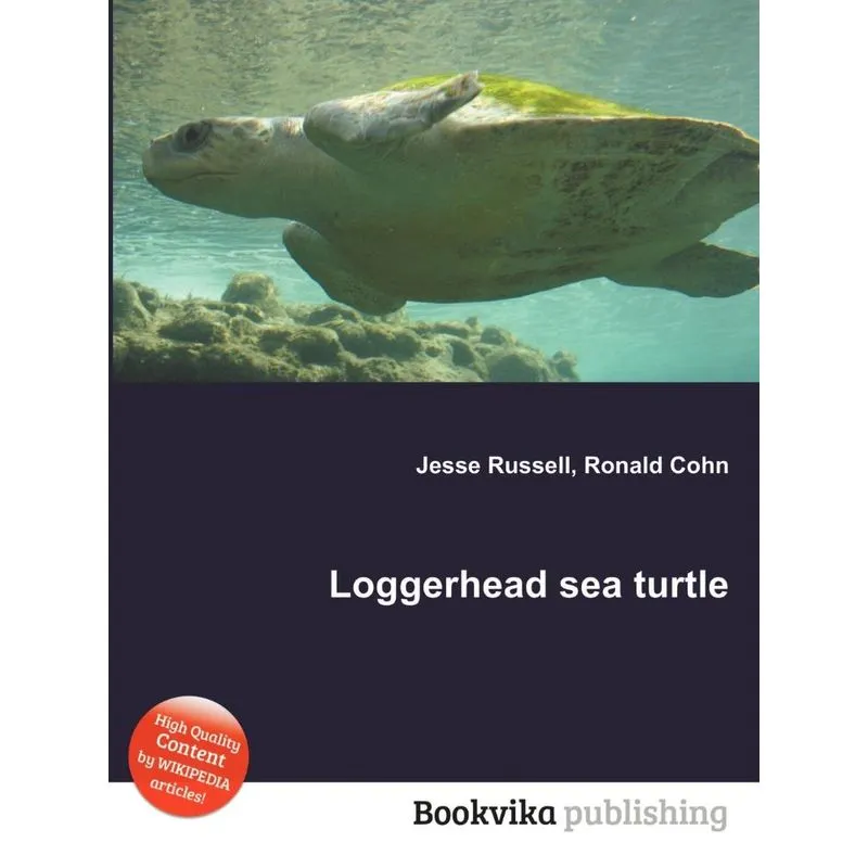 Loggerhead Sea Turtle