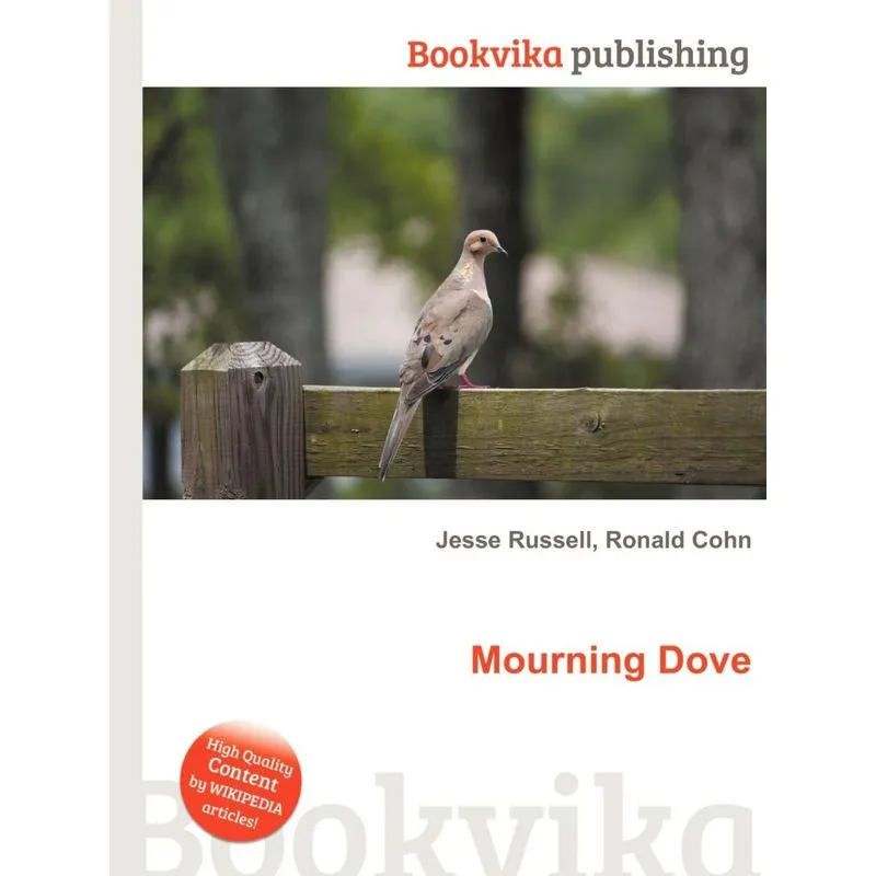 Mourning Dove