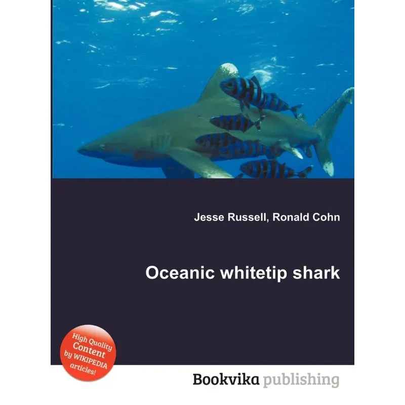 Oceanic Whitetip Shark