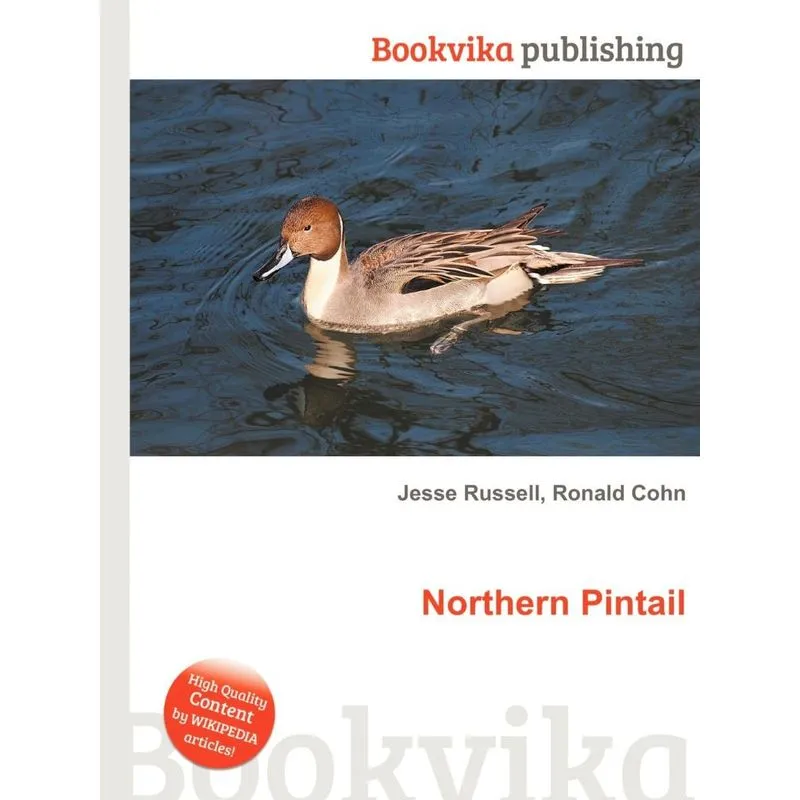 Northern Pintail