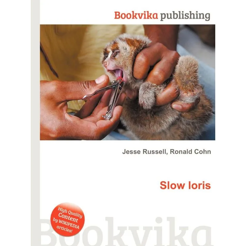 Slow Loris