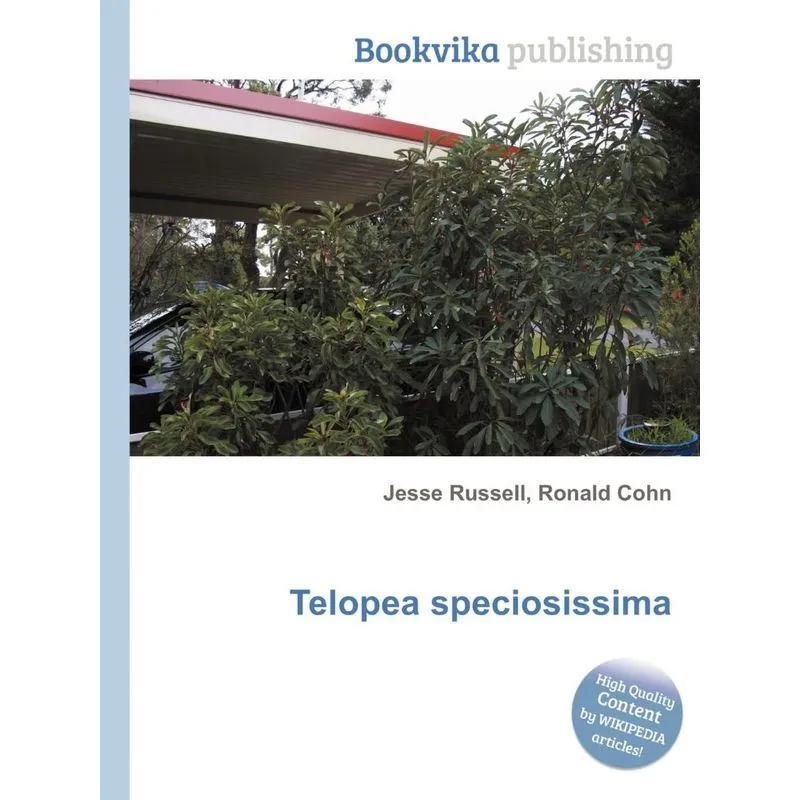Telopea Speciosissima