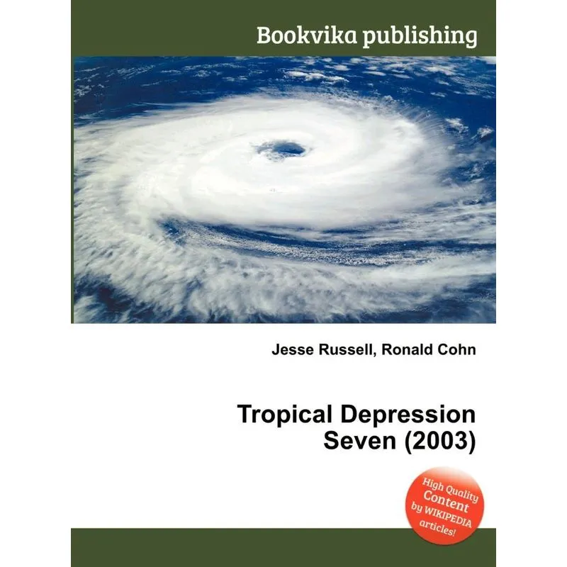 Tropical Depression Seven (2003)