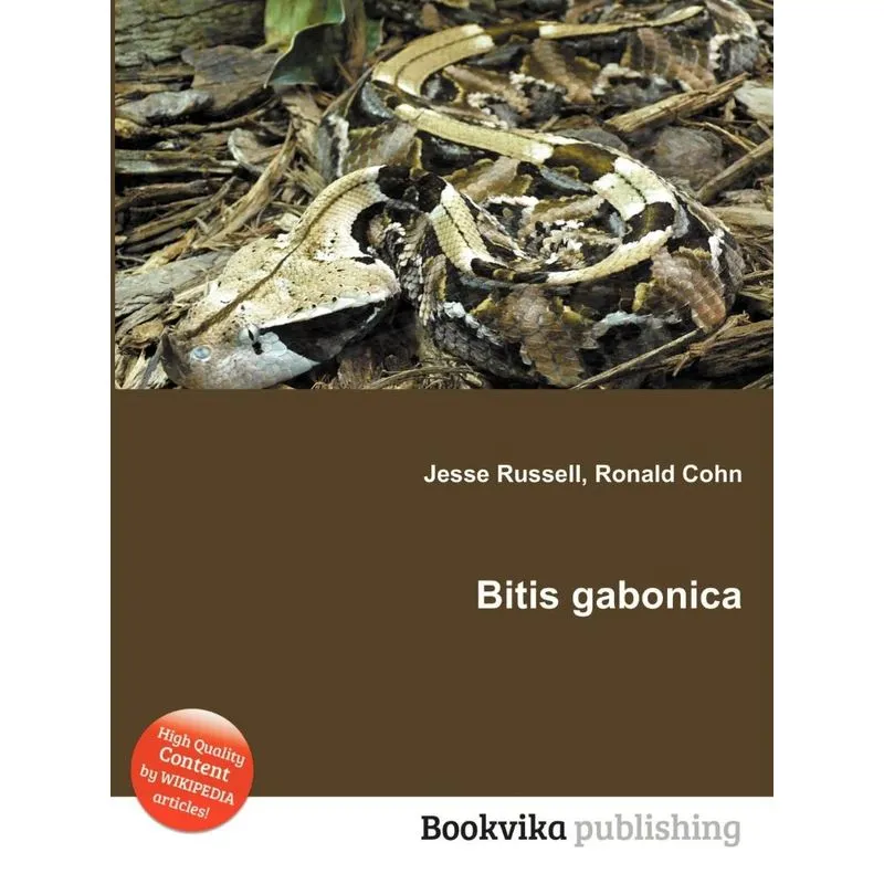 Bitis Gabonica